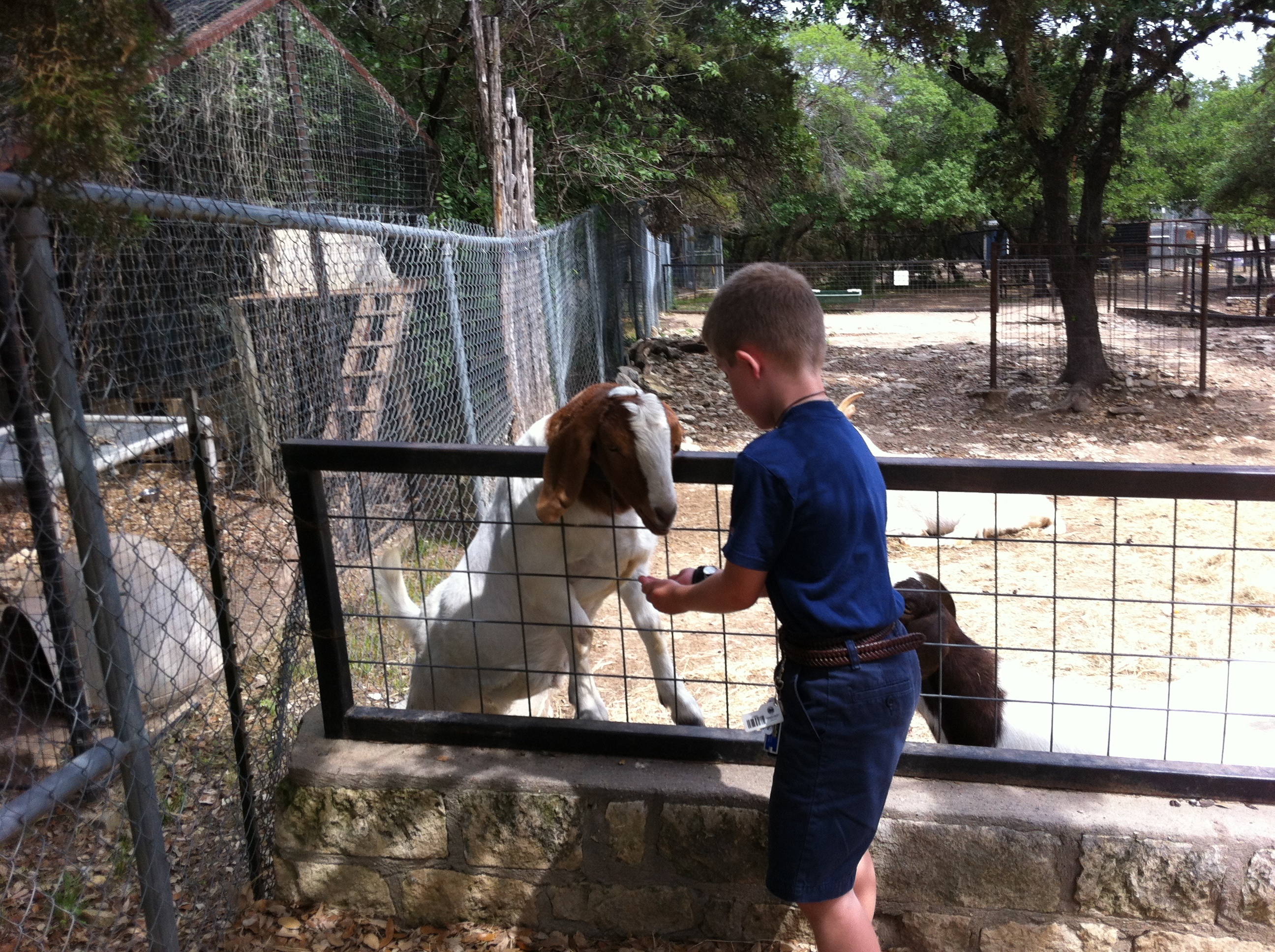 2012-04-09-14-Austin Zoo with Ian.jpg